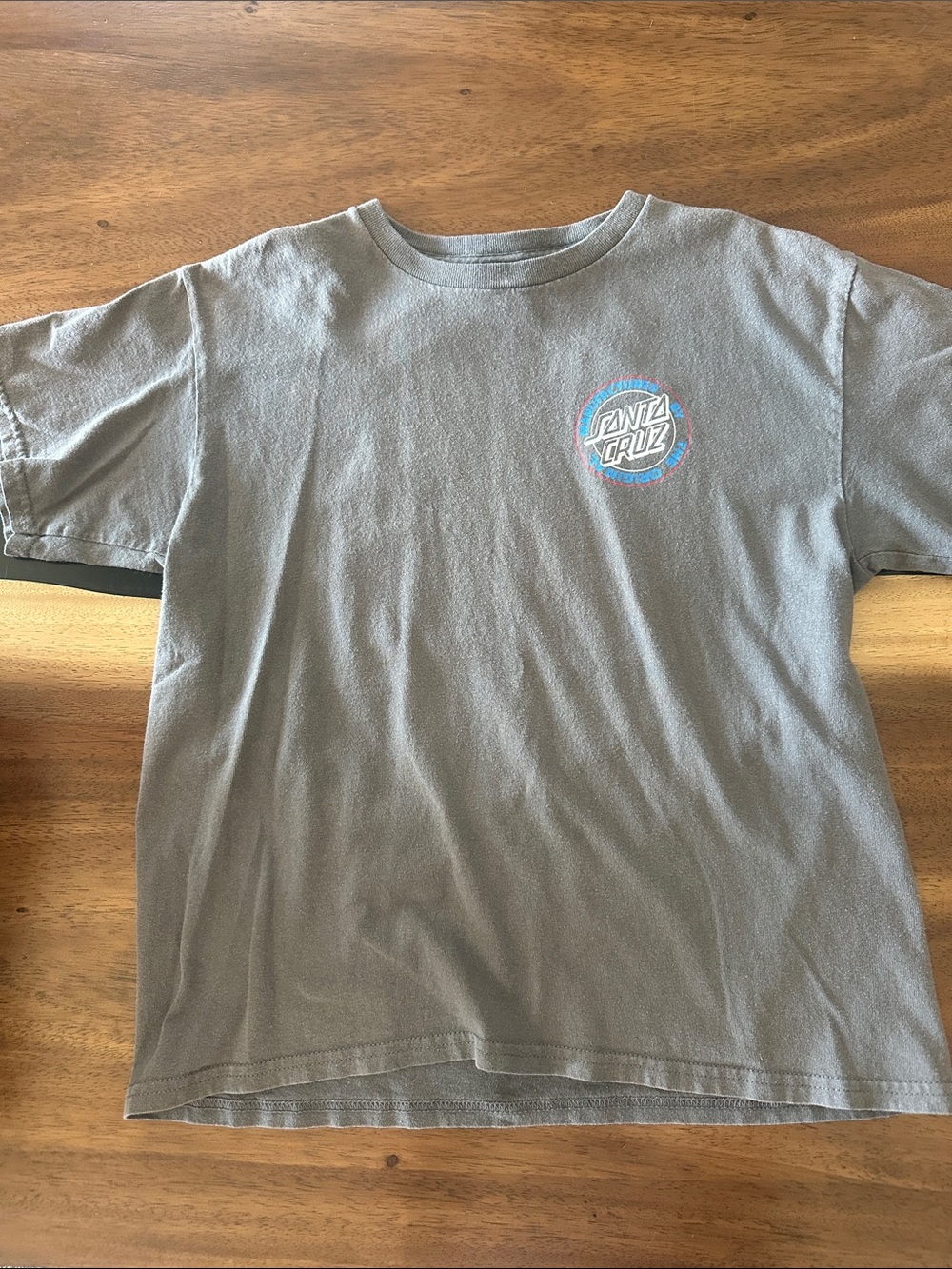 Santa Cruz Skateboards Kids Gray Tee with Small Circular Logo